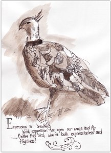 edm125_birdsml-copy edm125_birdsml-copy