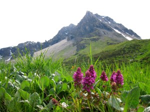 Our mountain climbing expedition