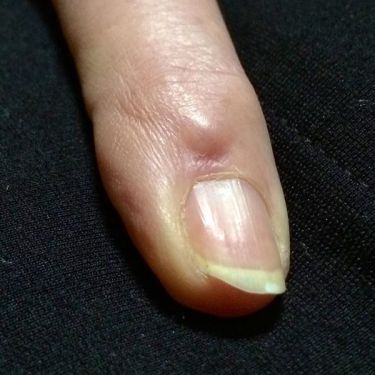 10643206_10152380847619506_1811974291_n